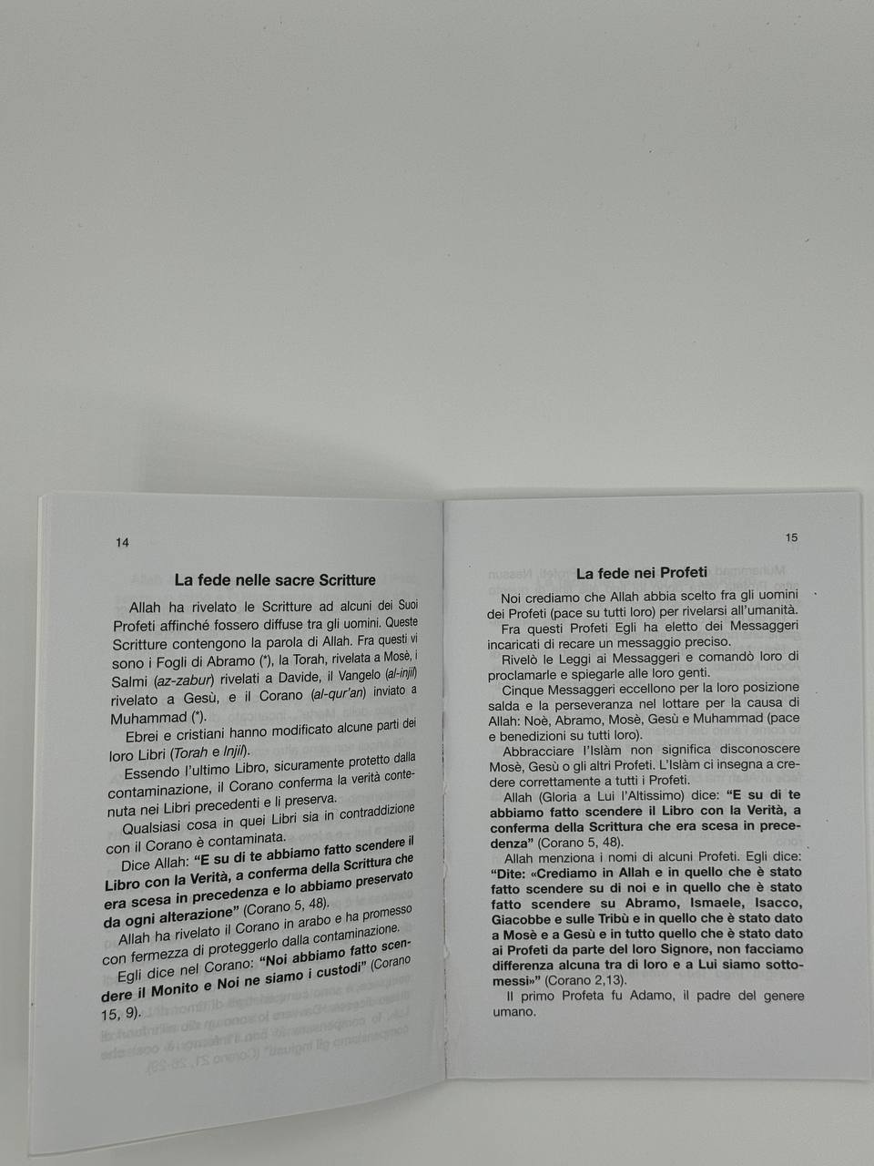 A proposito dell’Islam